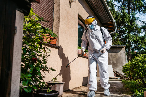 Best Pest Control Near Me  in South Creek, WA
