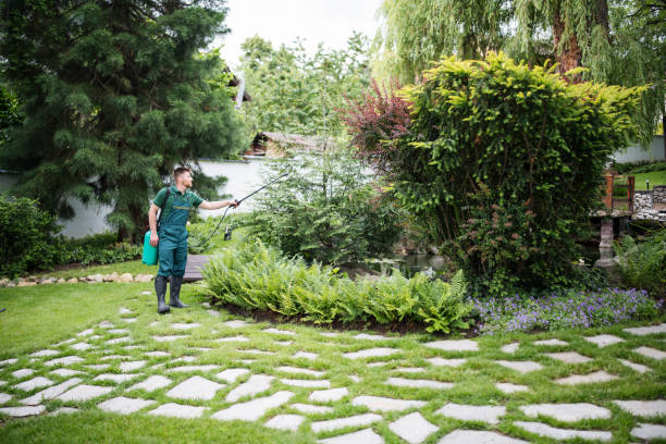 Best Affordable Pest Control Services  in South Creek, WA