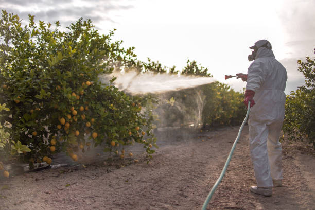 Pest Control Cost in South Creek, WA