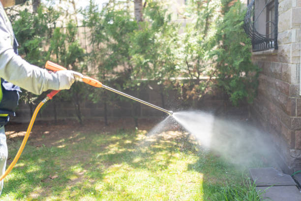 Reliable South Creek, WA Pest Control Solutions