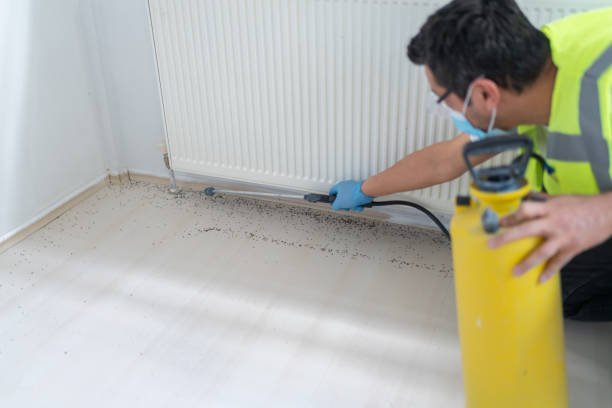 Best Commercial Pest Control Services  in South Creek, WA