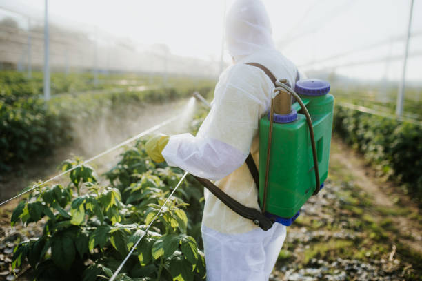Pest Control for Restaurants in South Creek, WA